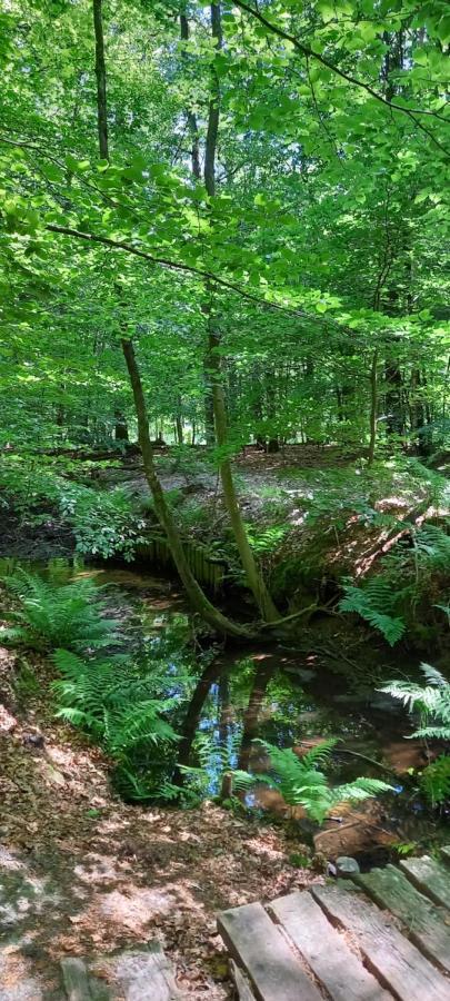 'T Uiltje Villa Ermelo Eksteriør billede