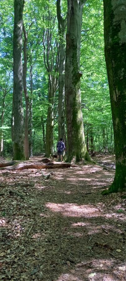 'T Uiltje Villa Ermelo Eksteriør billede